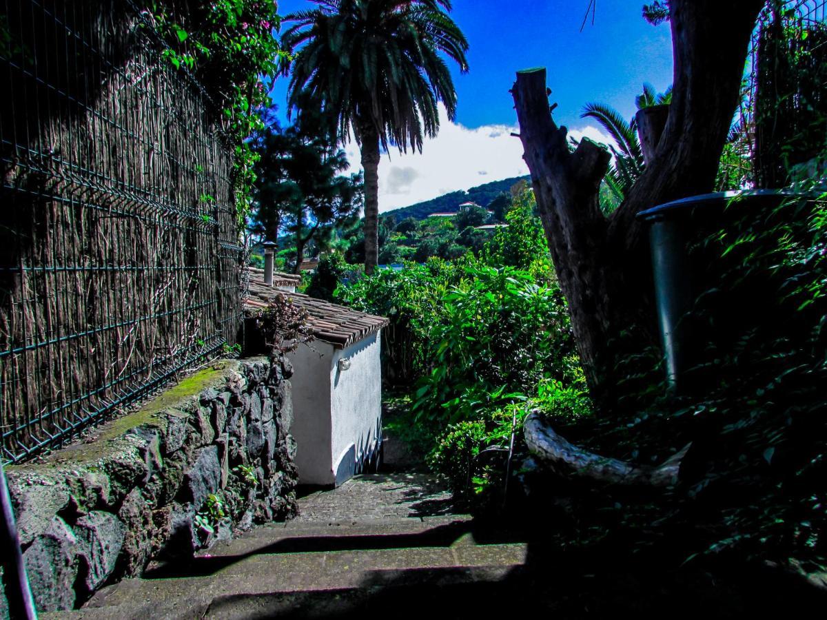 Country house La Bodega Casa Rural Con Piscina Y Jardines