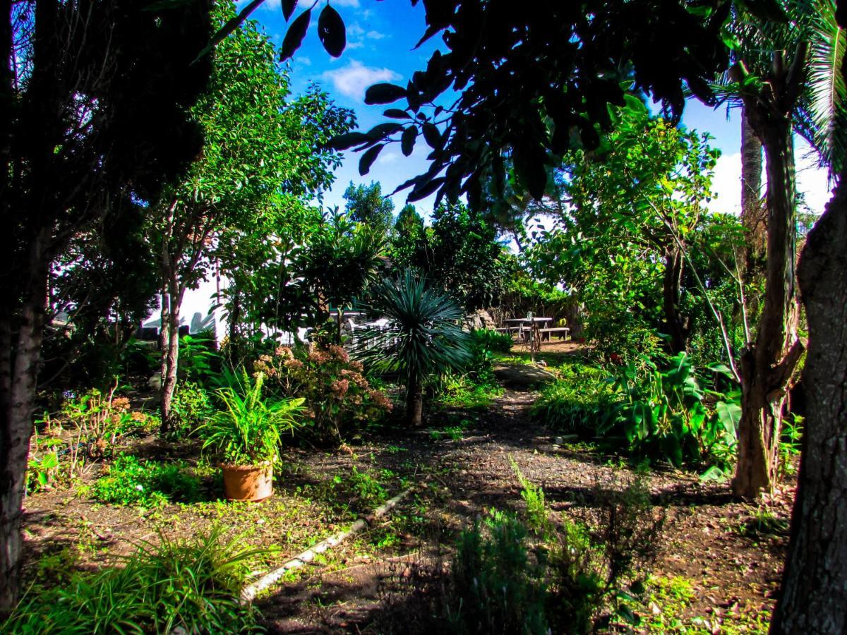 La Bodega Casa Rural Con Piscina Y Jardines Country house