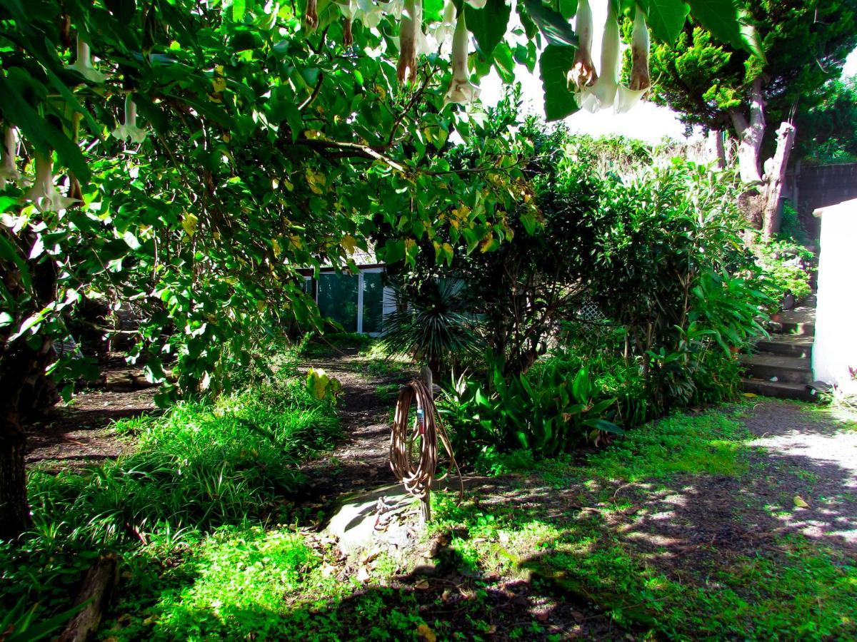La Bodega Casa Rural Con Piscina Y Jardines