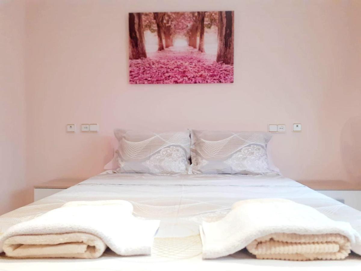 Apartment Apartamento Rosa *