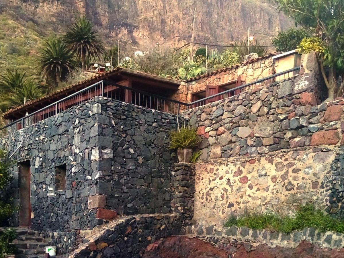 Live Masca Casatarucho Villa *