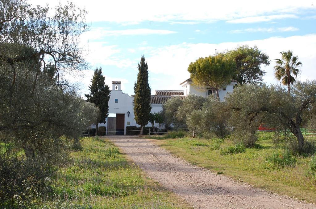 Hacienda Dos Olivos Country house Aznalcazar