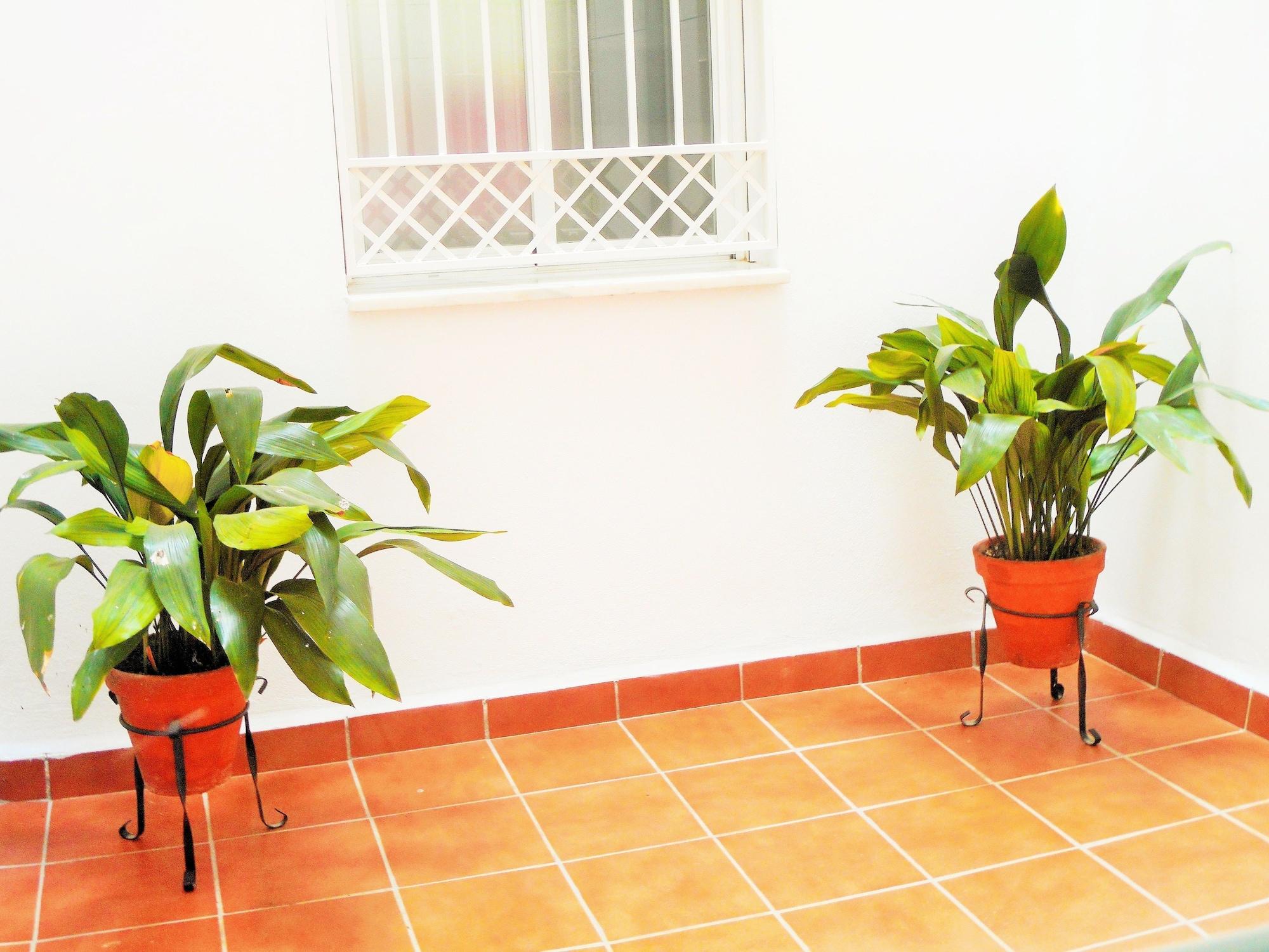 Bed & Breakfast Martin House & Granada