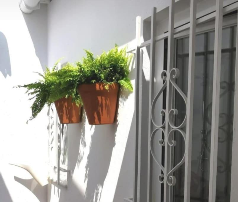 La Marieta, Casita Acogedora Y Centrica