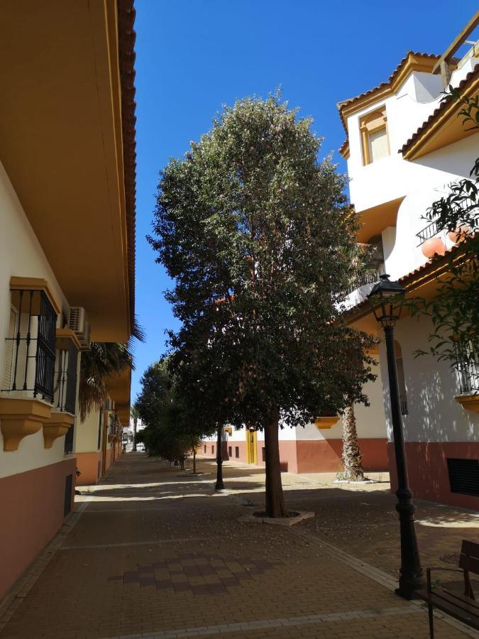Apartment Aretusa Luz *