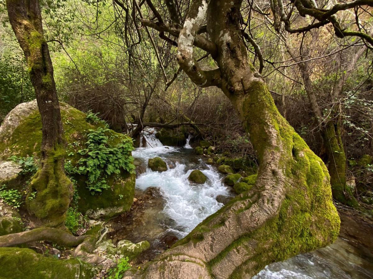 Holiday home Dima Vivienda Turistica El Bosque