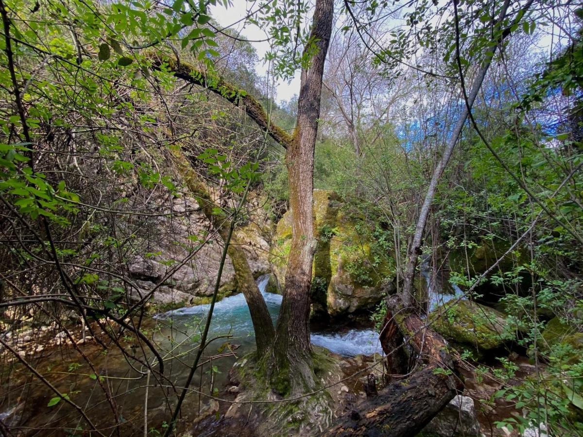Dima Vivienda Turistica El Bosque