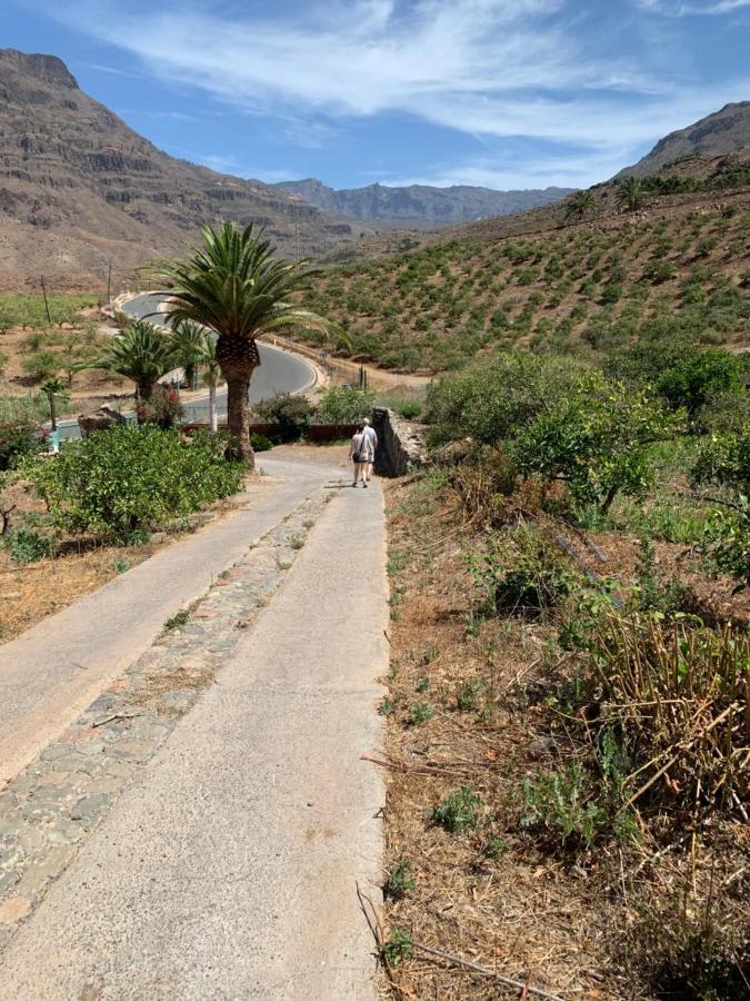 Masai Mara Gran Canaria *