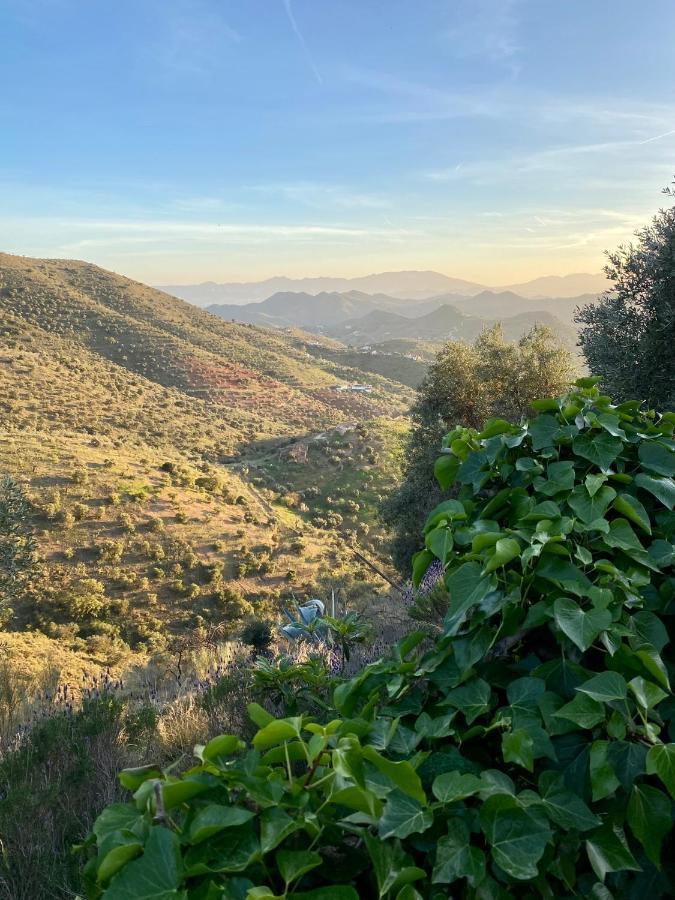 La Tahona
