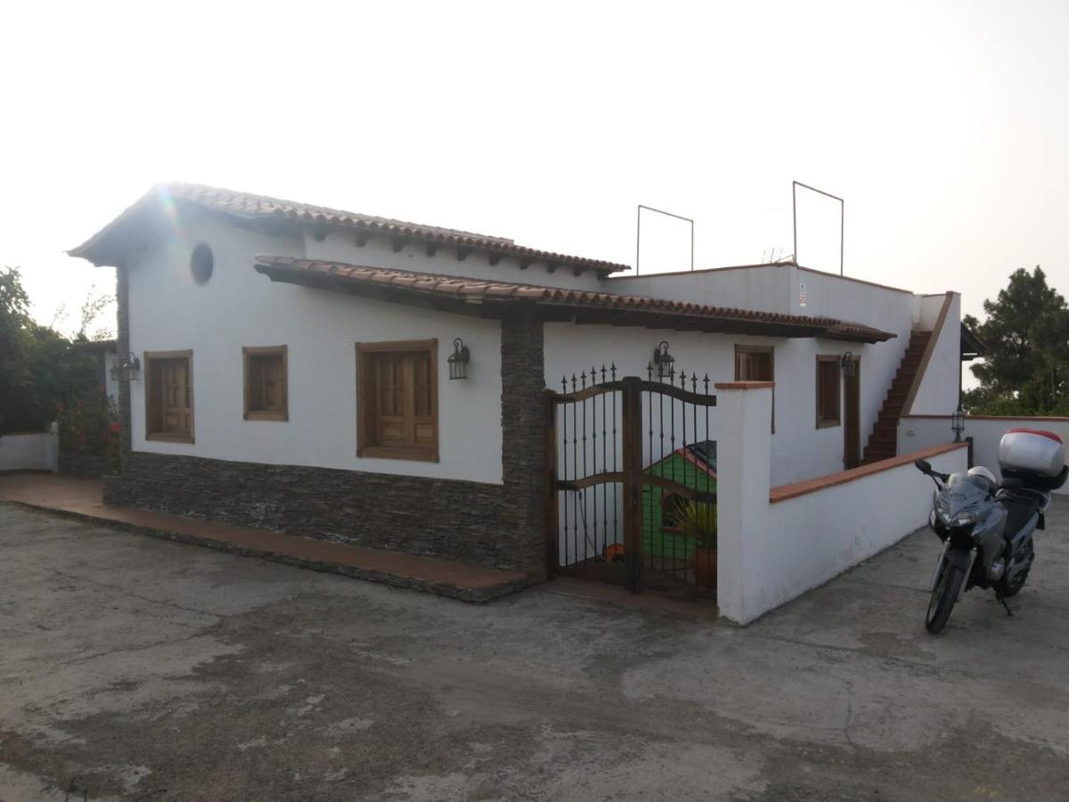 Bed & Breakfast Oasis Hill Icod De Vinos Icod De Los Vinos