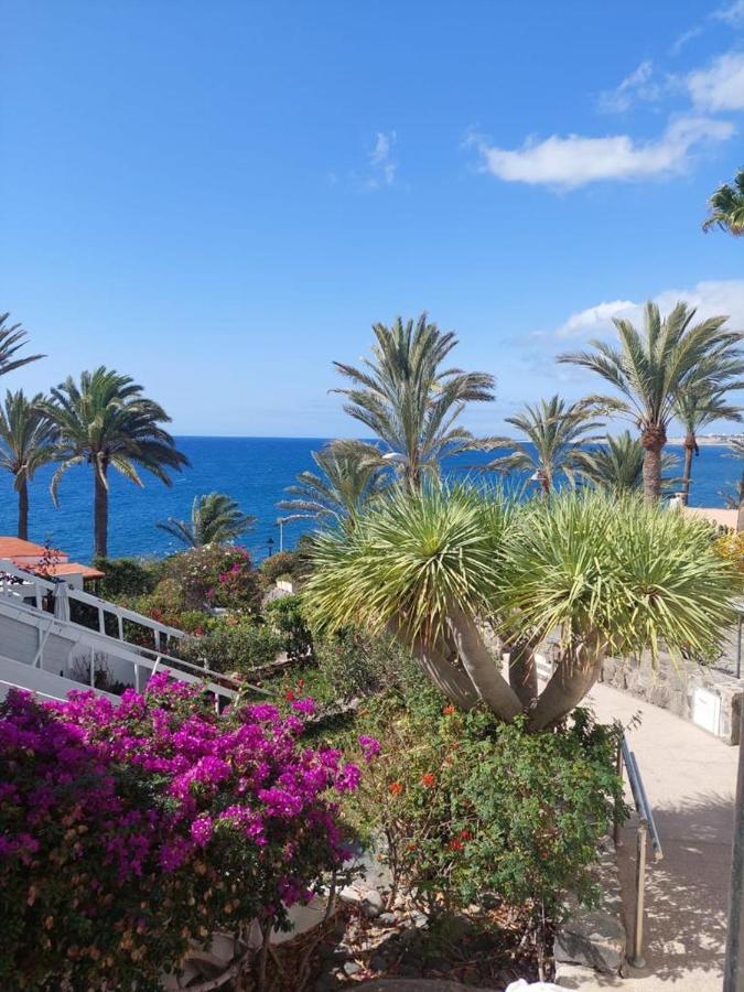Apartamento La Casa De La Playa San Agustin Maspalomas (Gran Canaria)