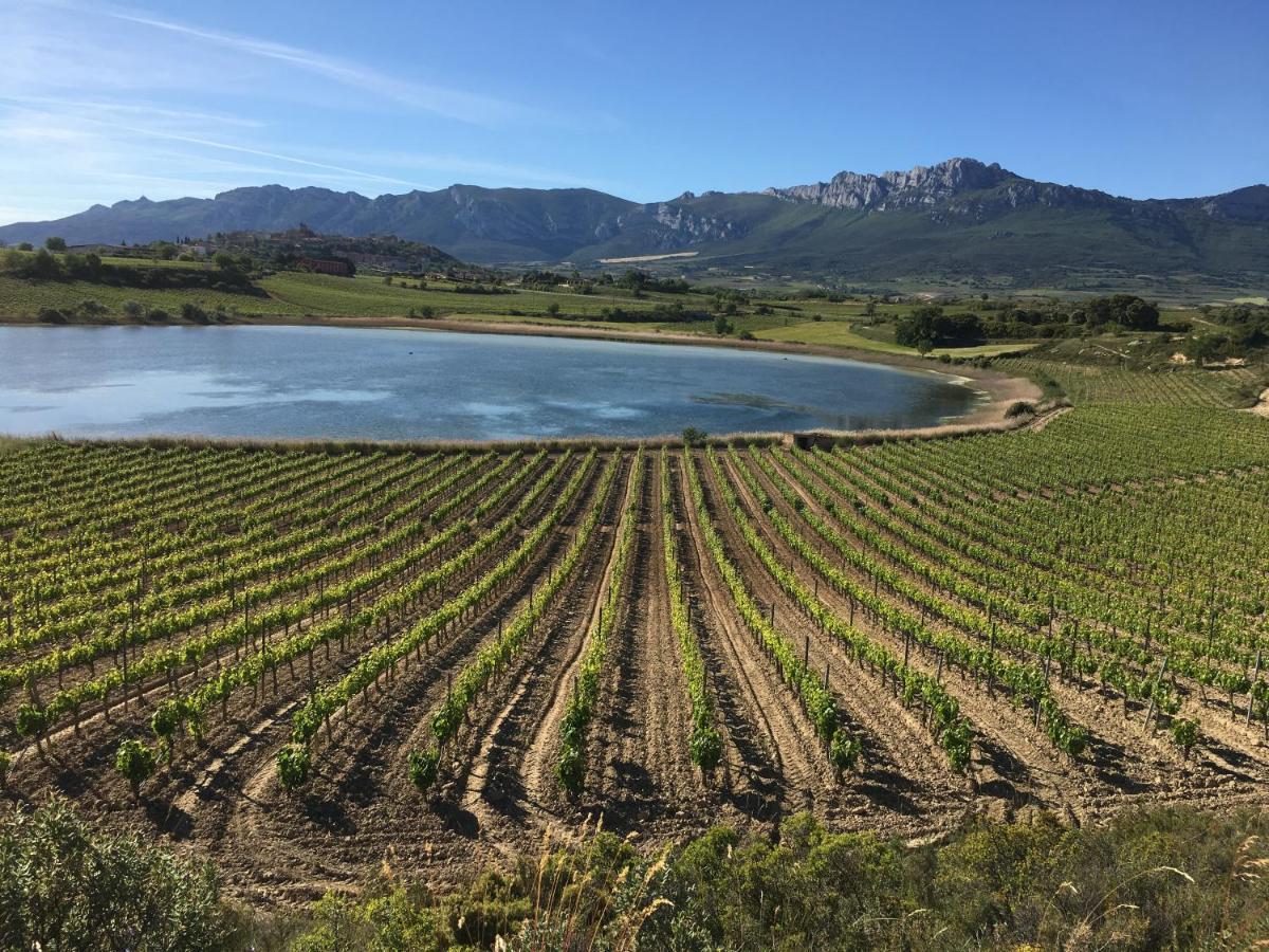 Chalet Four Bedroom With Private Pool In The Heart Of Rioja Alavesa