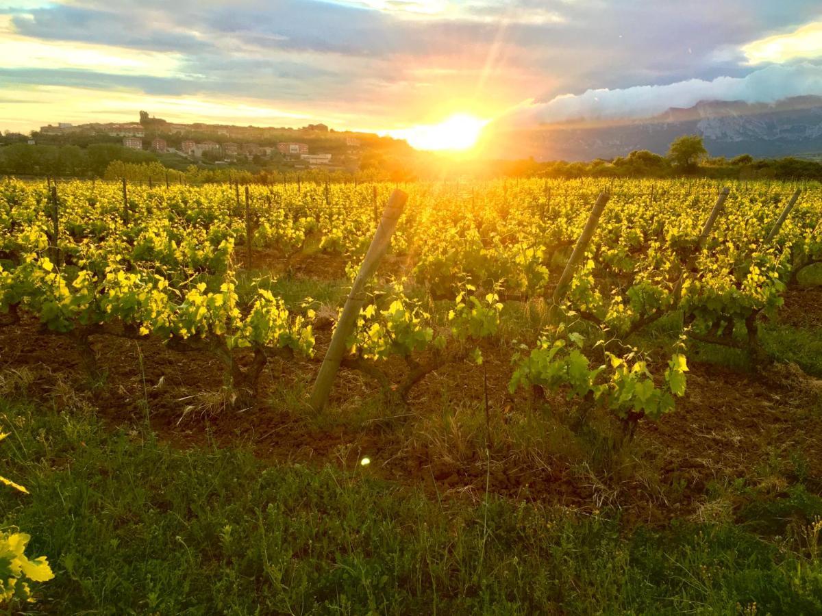 Four Bedroom With Private Pool In The Heart Of Rioja Alavesa Chalet