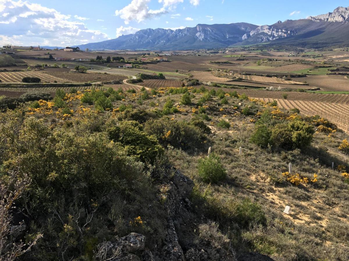 Four Bedroom With Private Pool In The Heart Of Rioja Alavesa Laguardia