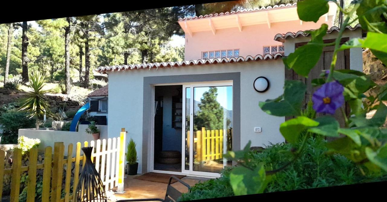 Casa Aguar: Acogedora Casa De Invitados En El Bosque