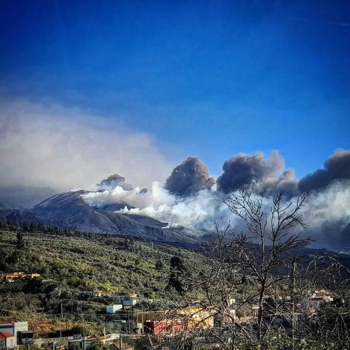Casa Aguar: Acogedora Casa De Invitados En El Bosque *