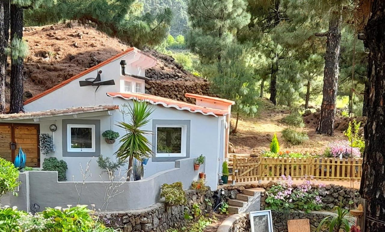 Casa Aguar: Acogedora Casa De Invitados En El Bosque Chalet Barrial