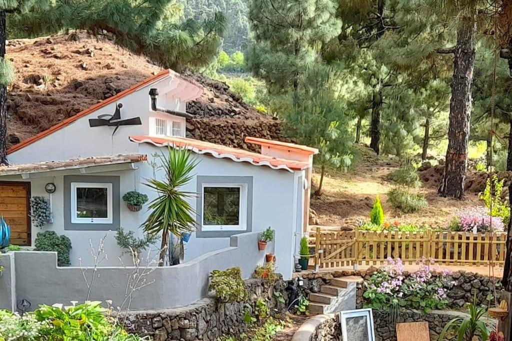 Casa Aguar: Acogedora Casa De Invitados En El Bosque