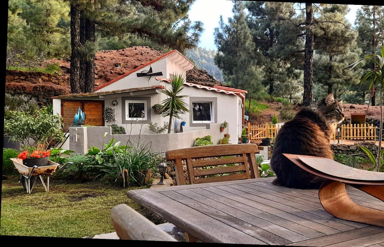 Casa Aguar: Acogedora Casa De Invitados En El Bosque Barrial