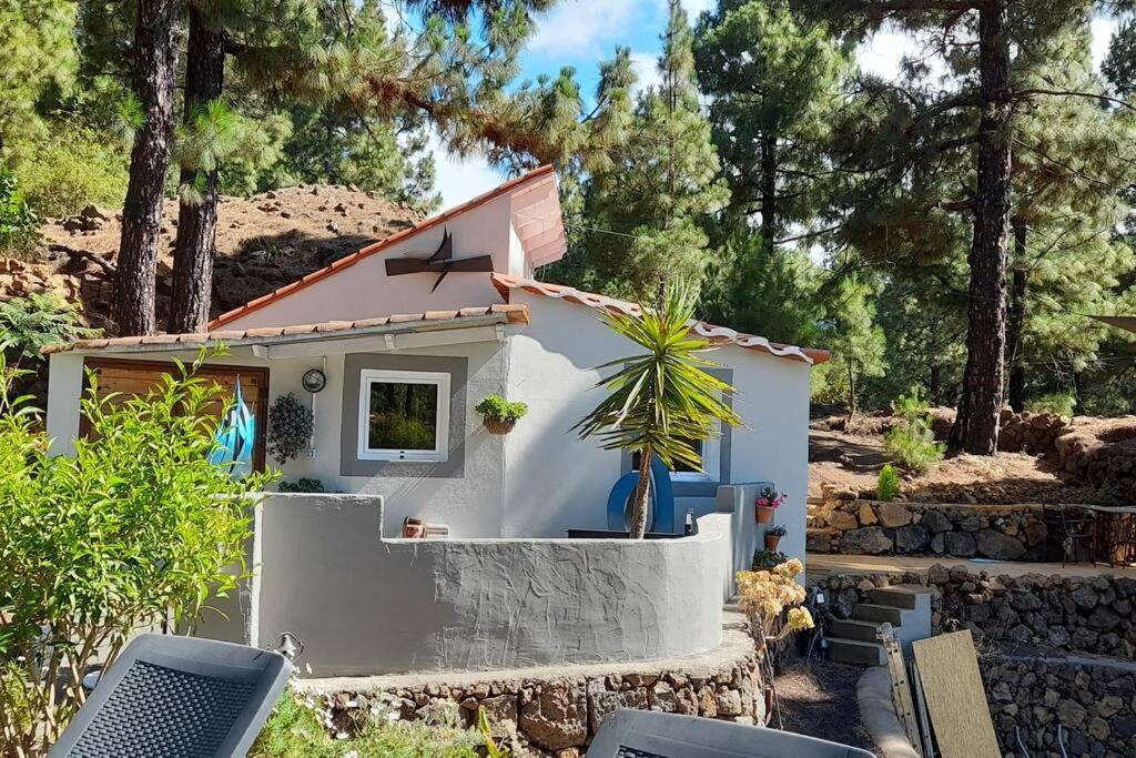 Casa Aguar: Acogedora Casa De Invitados En El Bosque