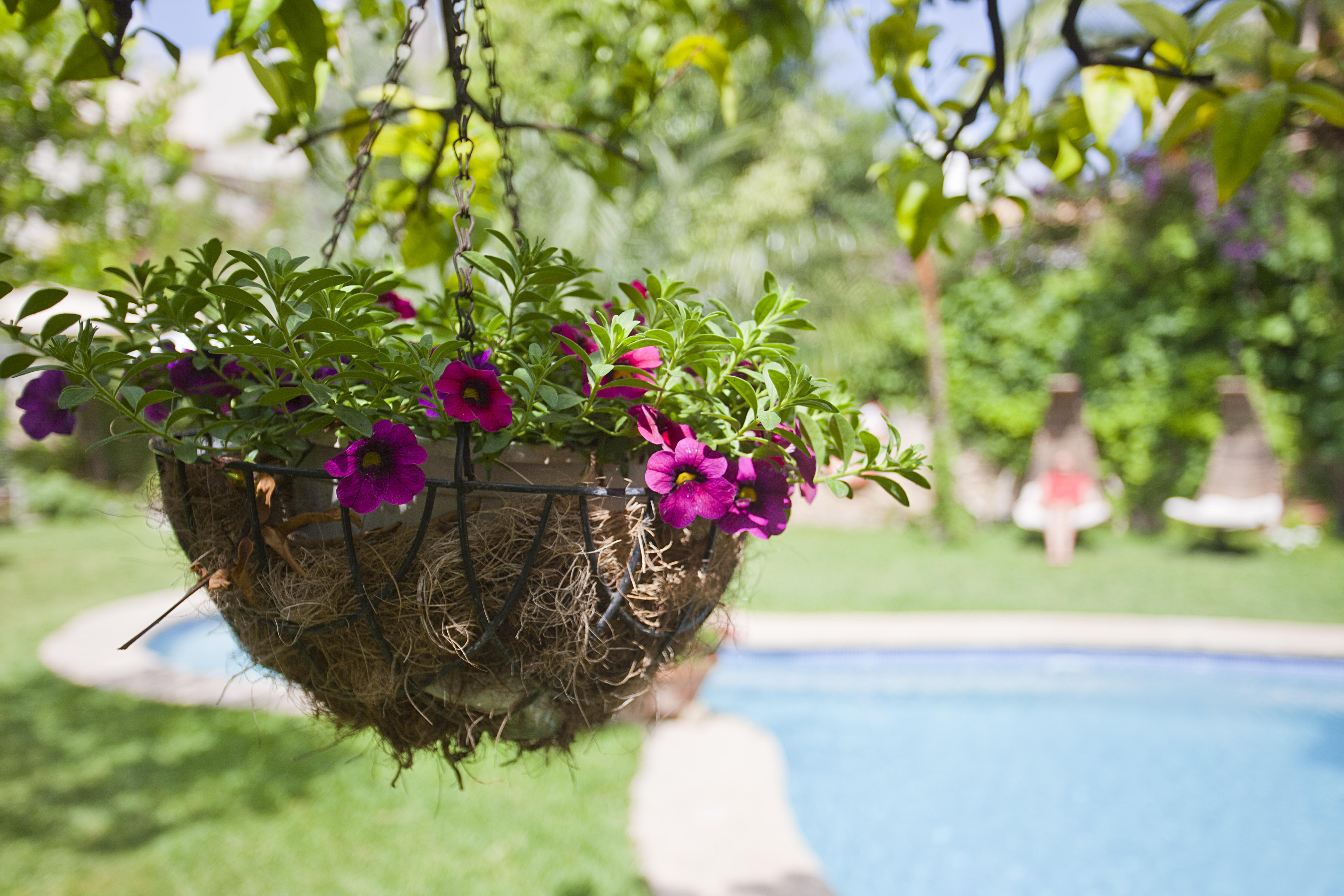 Son Sant Jordi - Turismo De Interior Hotel Pollensa