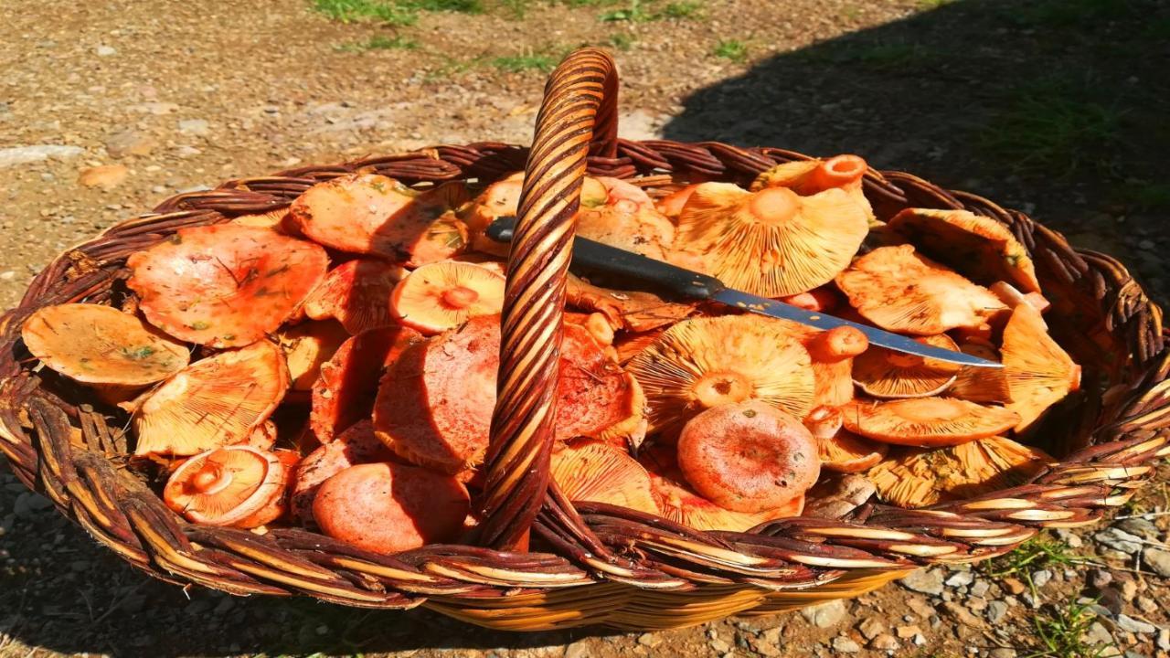 L'oasi De Mollo