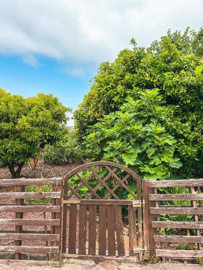 With Huge Deck Nestled In Marvelous Gardens - Nidos Apartamento La Orotava