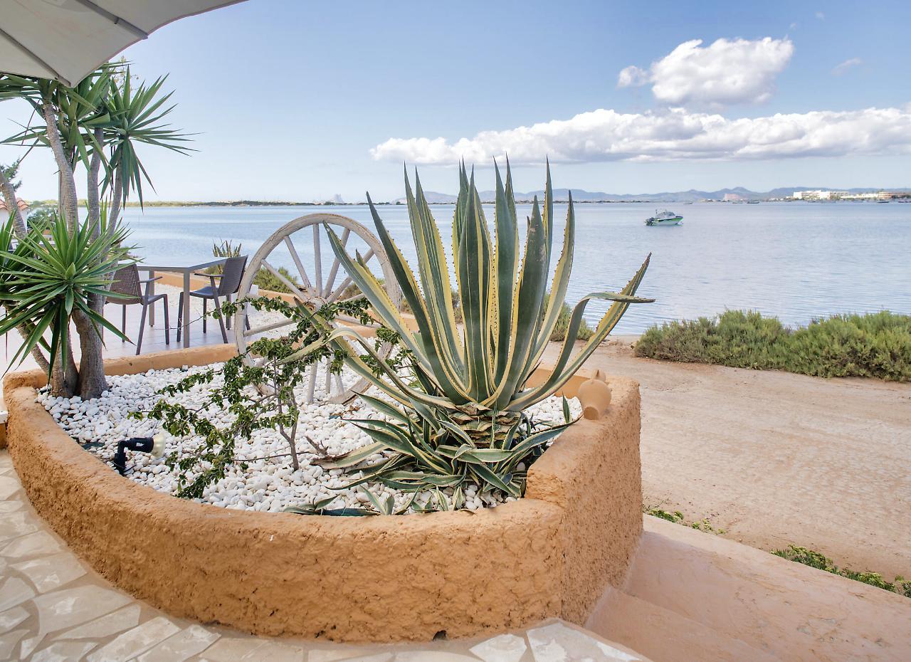 Dorado - Formentera Break