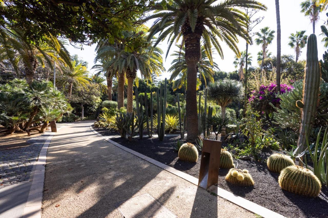 Home2book Chic & Stylish Rosalia Apartment Santa Cruz de Tenerife