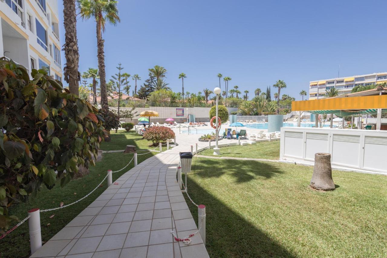 Complejo Aloe - Pool - Close To Maspalomas Apartment San Bartolome de Tirajana (Gran Canaria)