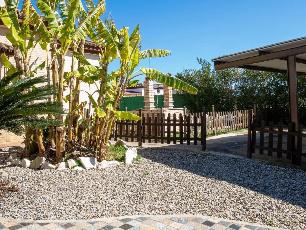 Con Piscina Privada Solo Familias Y Parejas Conil De La Frontera