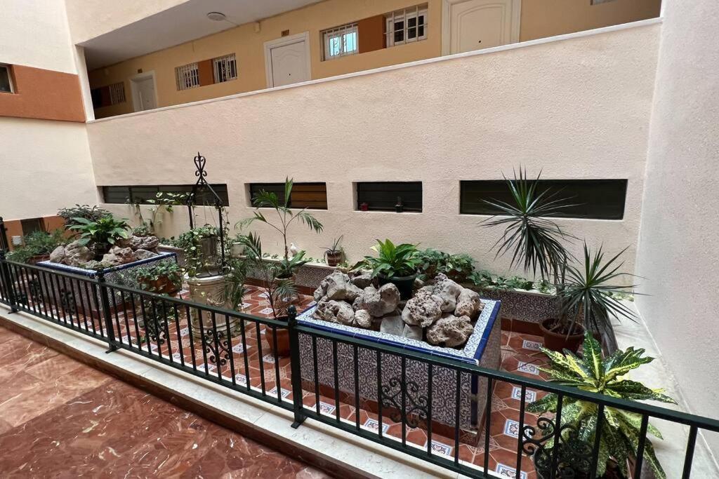 Estudio Aguila Con Vistas Al Mar Apartamento *