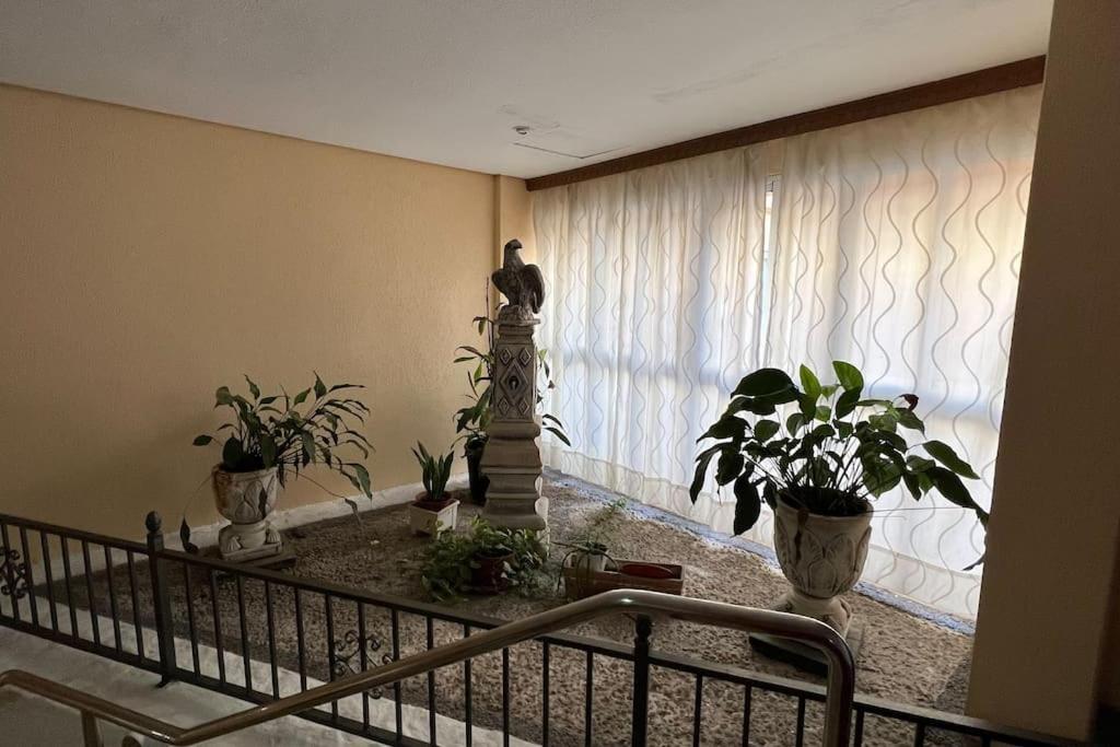 Apartamento Estudio Aguila Con Vistas Al Mar *