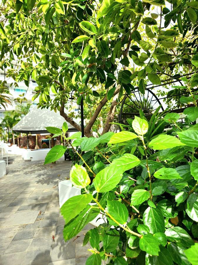 Apartment Modern Pool Front In Las Americas