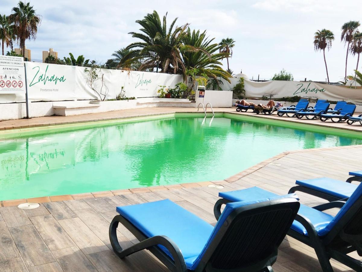 Apartment Modern Pool Front In Las Americas