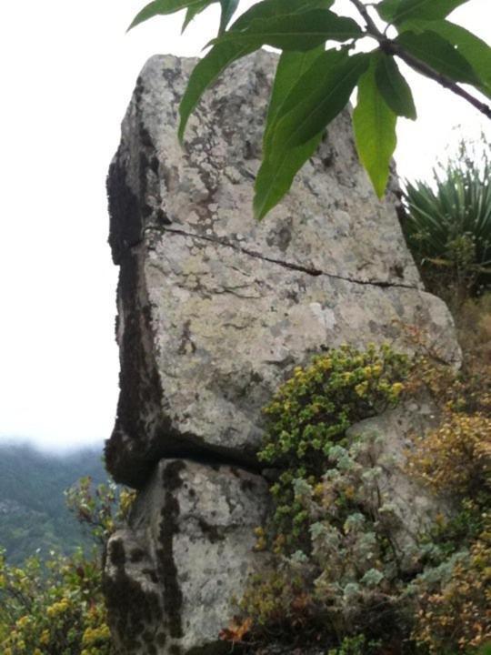 La Maresia * Taganana