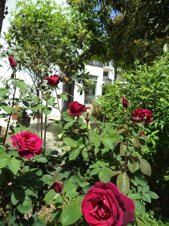 Hostal Cruz