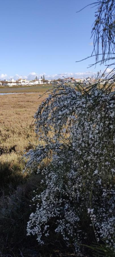 Duplex * Ayamonte