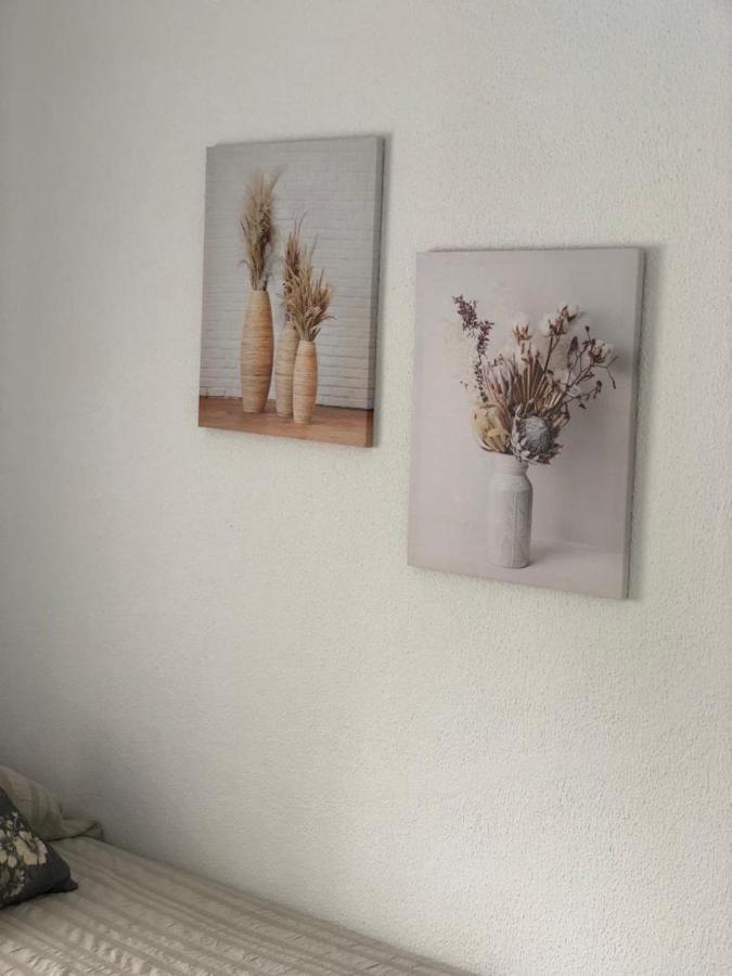 Costa De Sancti Petri By Chiclana Dreams Apartment