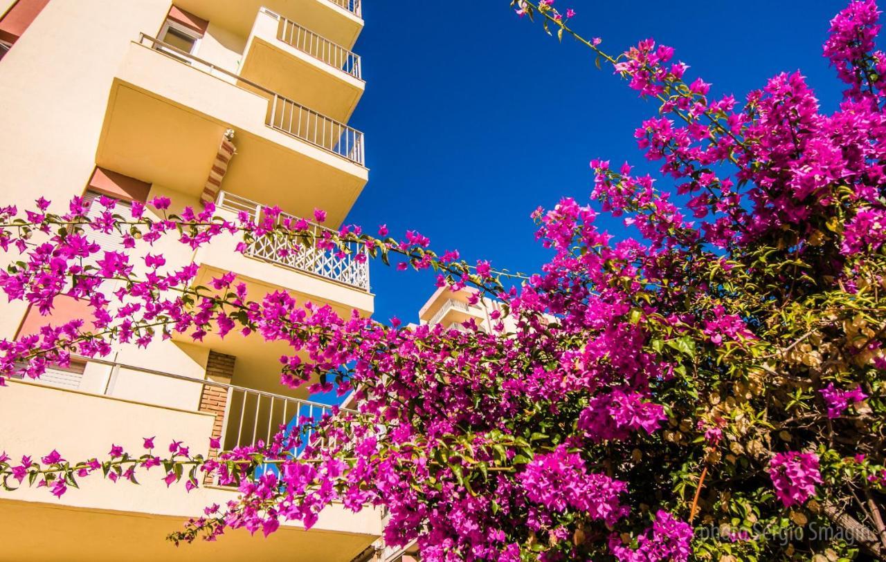 Apartamento 427 Estudio En Minerva -vista Al Jardin - Piscina Y Playa