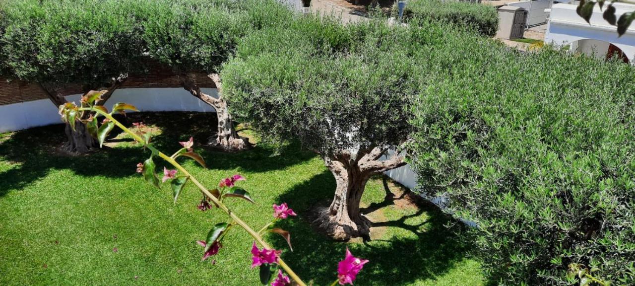 Сasa de vacaciones Chalet Individual Con Jardin En Puerto Rey, Vera Los Amarguillos