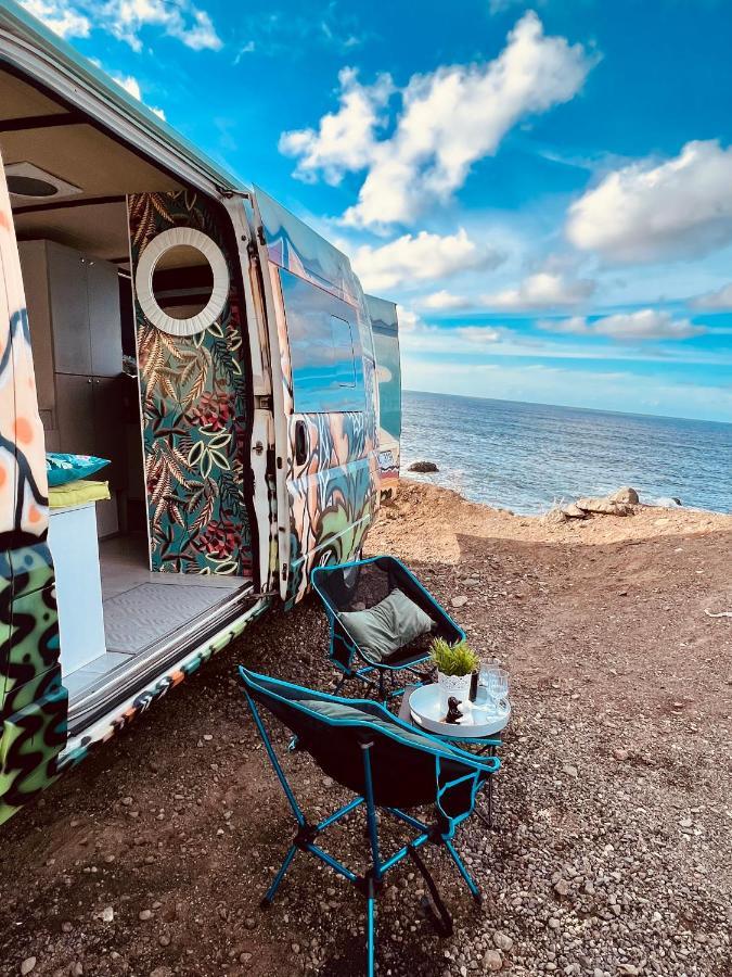 On Road- Feel Freedom With Campervan! Camping *