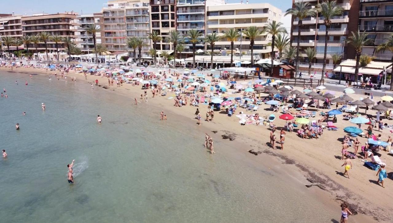 Mimoza * Torrevieja
