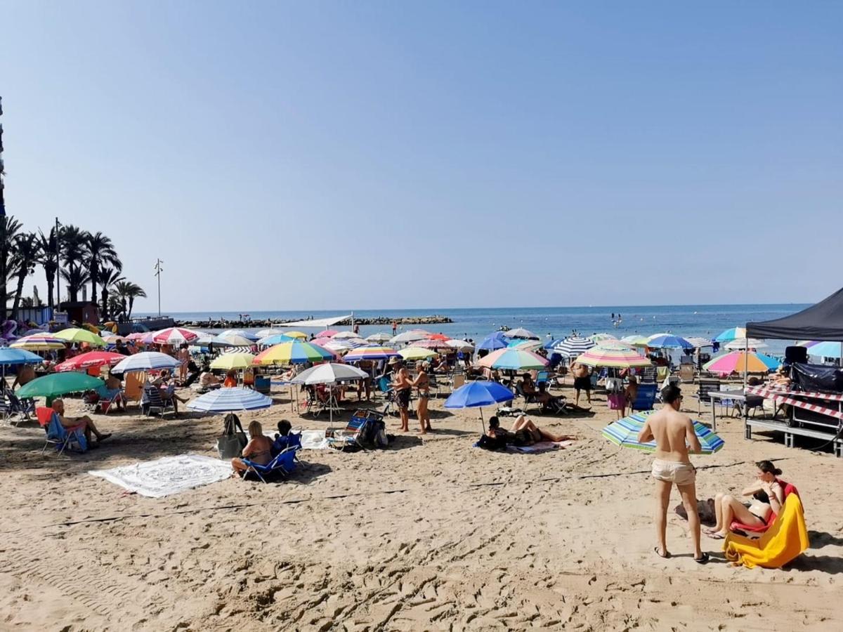 Mimoza Torrevieja