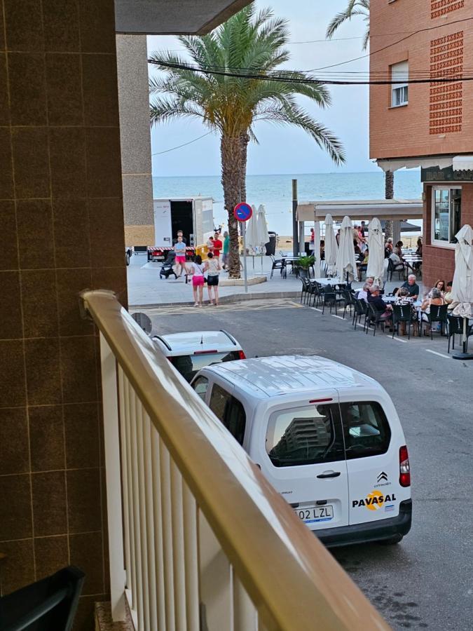 Mimoza * Torrevieja