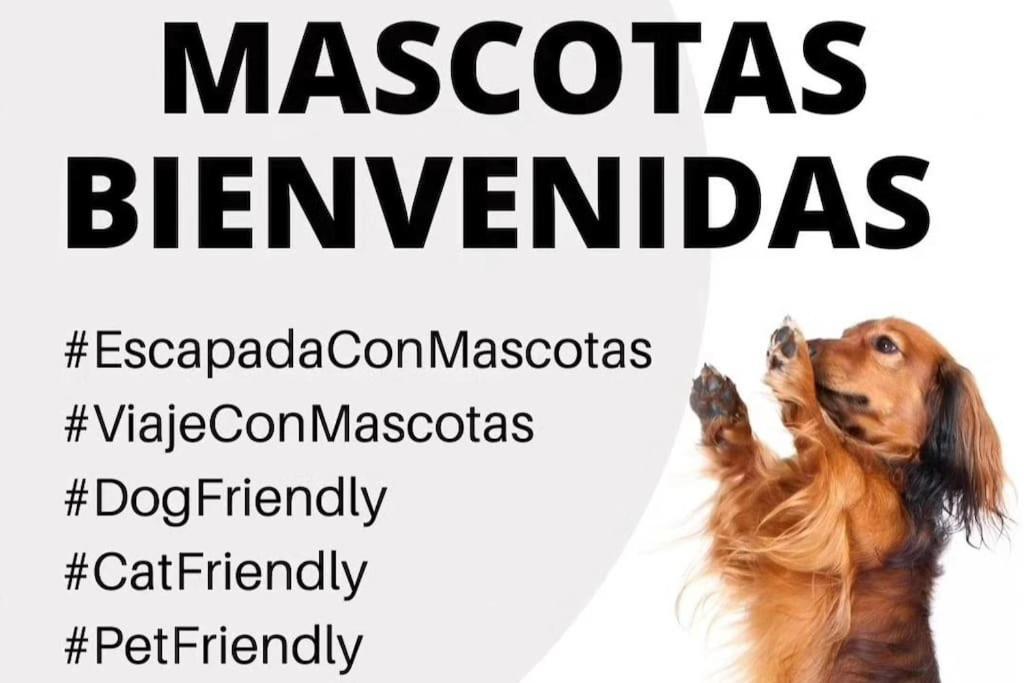 La Caseta De Rotova - Casa Rural Para Desconectar Rotova