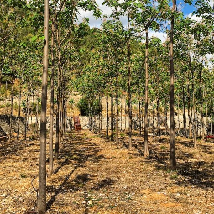 La Caseta De Rotova - Casa Rural Para Desconectar