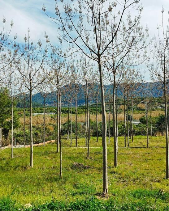Chalet La Caseta De Rotova - Casa Rural Para Desconectar