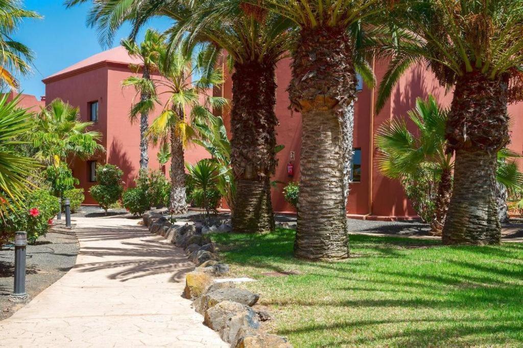 Apartamento Oasis Tamarindo 1 - - Casa Rosa - 2