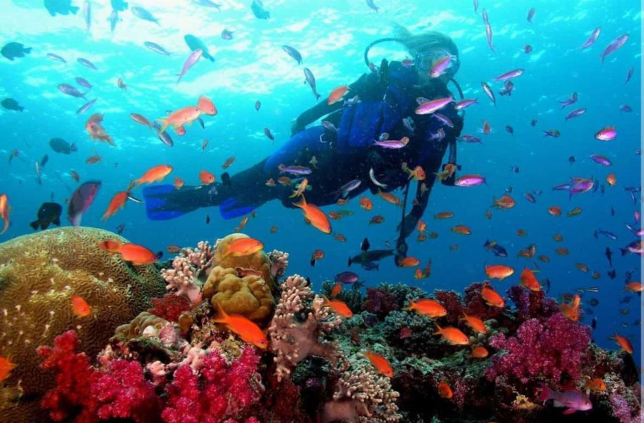 Homestay Traveler's Melenara